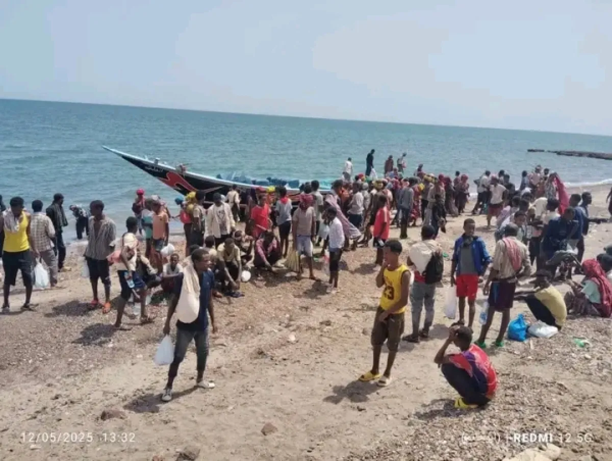 وصول 200 مهاجر أفريقي إلى ساحل شبوة