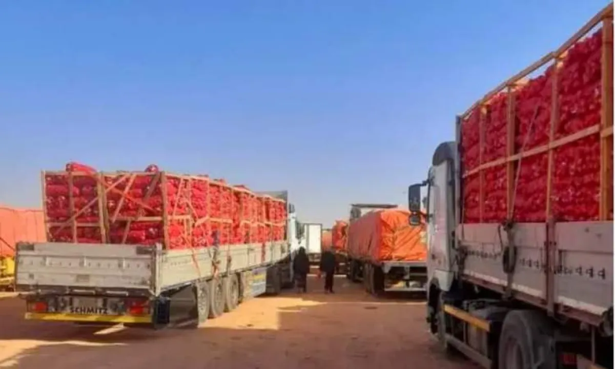 تكدّس مئات الشاحنات في منفذ الوديعة يهدد صادرات اليمن الزراعية إلى السعودية