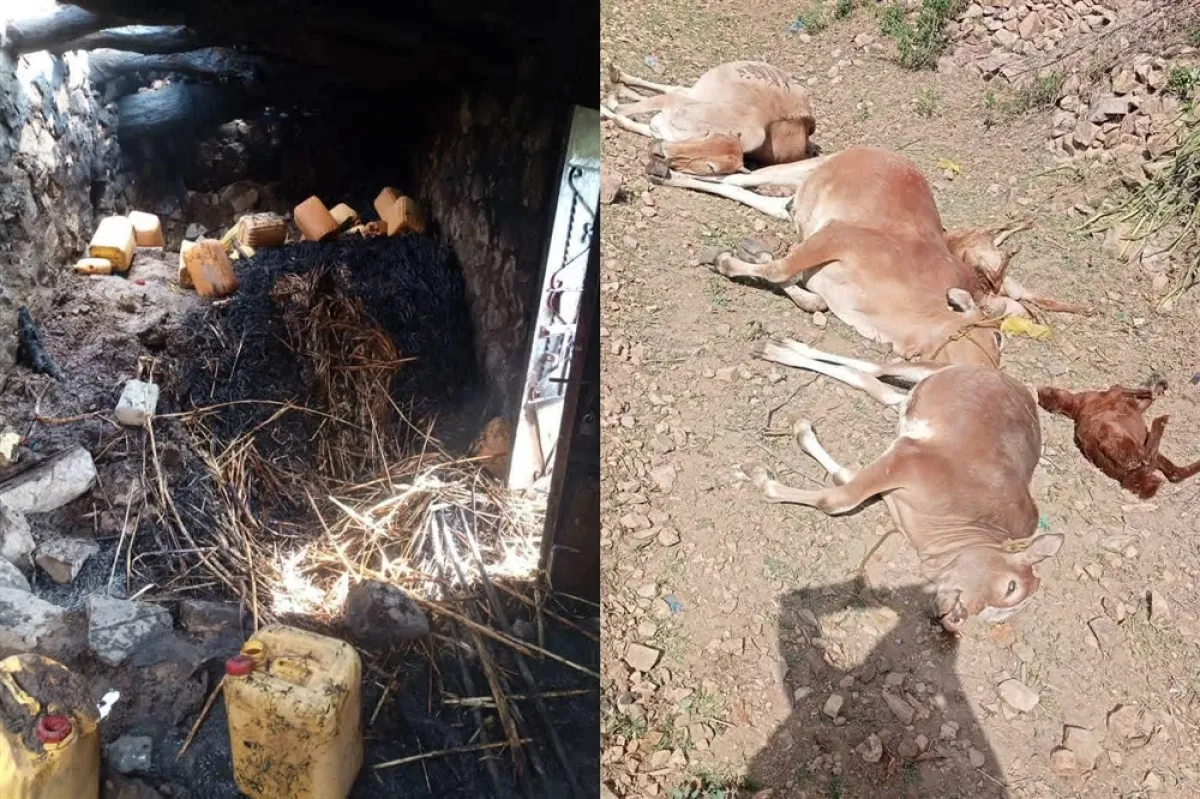 تعز..  انفجار بطارية تتسبب بحريق منزل ونفوق مواشي في صبر الموادم