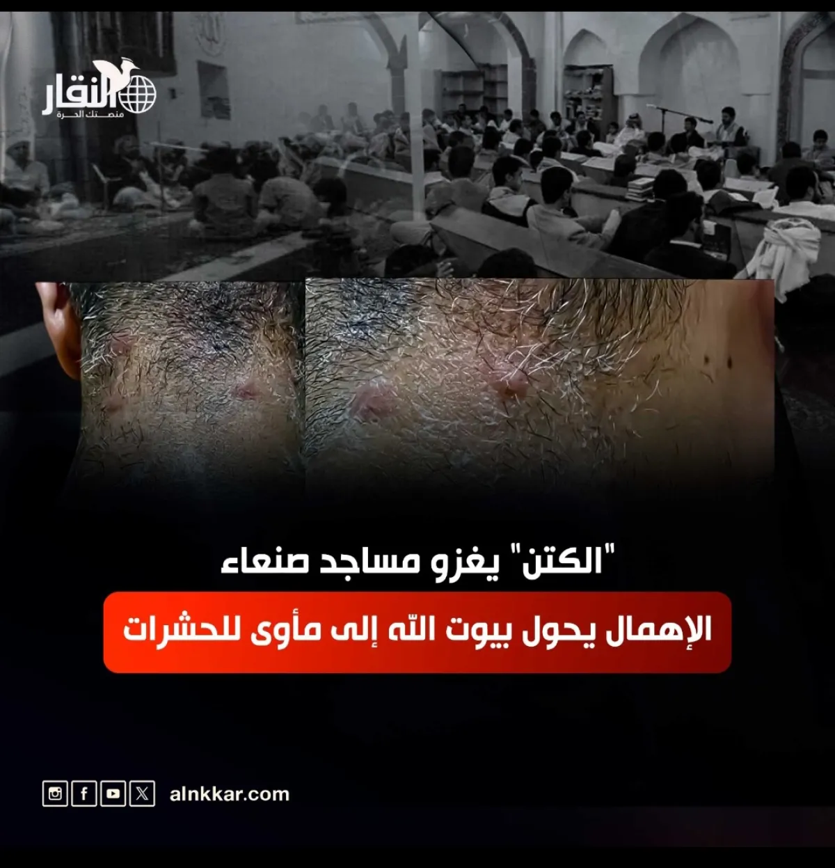 "الكتن" يغزو مساجد صنعاء.. الإهمال يحول بيوت الله إلى مأوى للحشرات