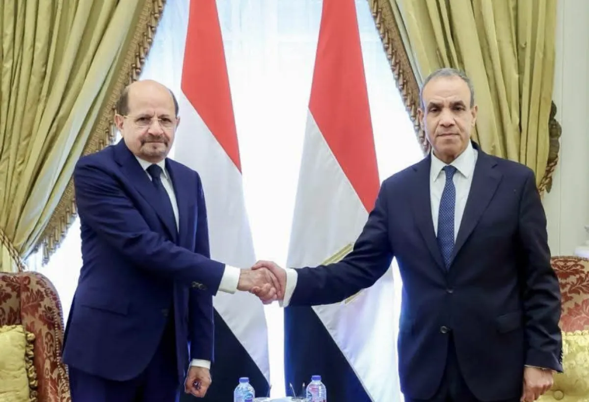 مصر تؤكد رفضها "تدويل أو عسكرة" البحر الأحمر وتحصر تأمينه بالدول المشاطئة
