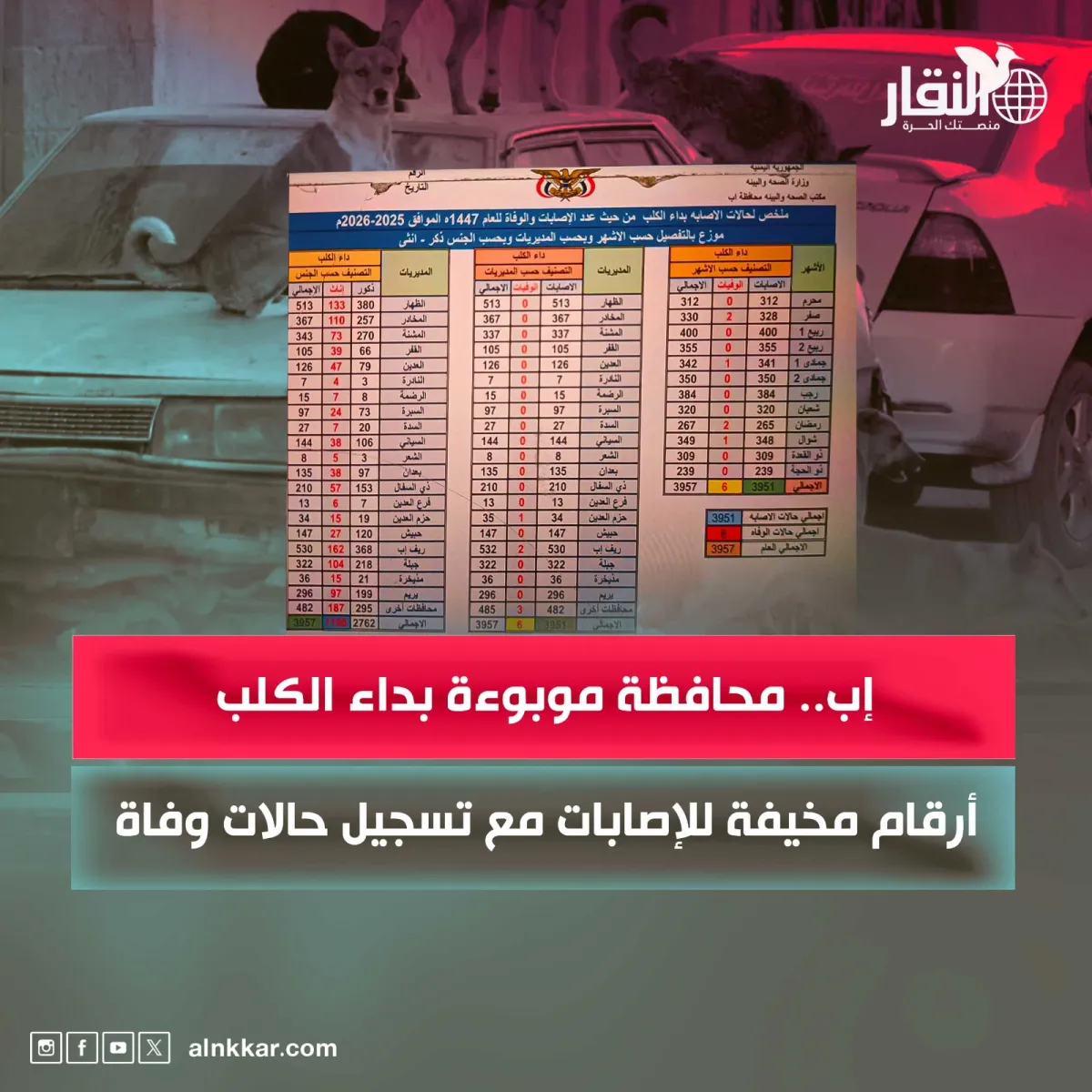 إب.. محافظة موبوءة بداء الكلب.. أرقام مخيفة للإصابات مع تسجيل حالات وفاة