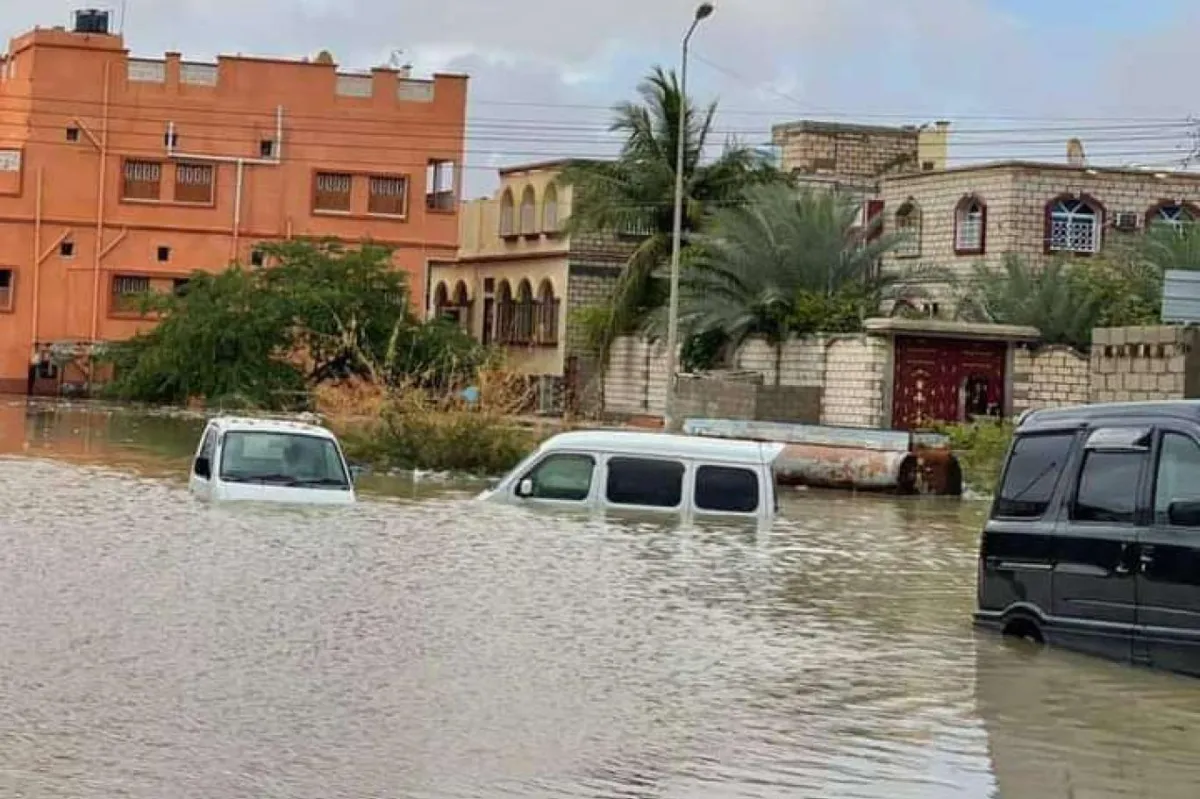 الفاو تحذّر من أمطار غزيرة وفيضانات مفاجئة تضرب مناطق يمنية خلال الأيام المقبلة