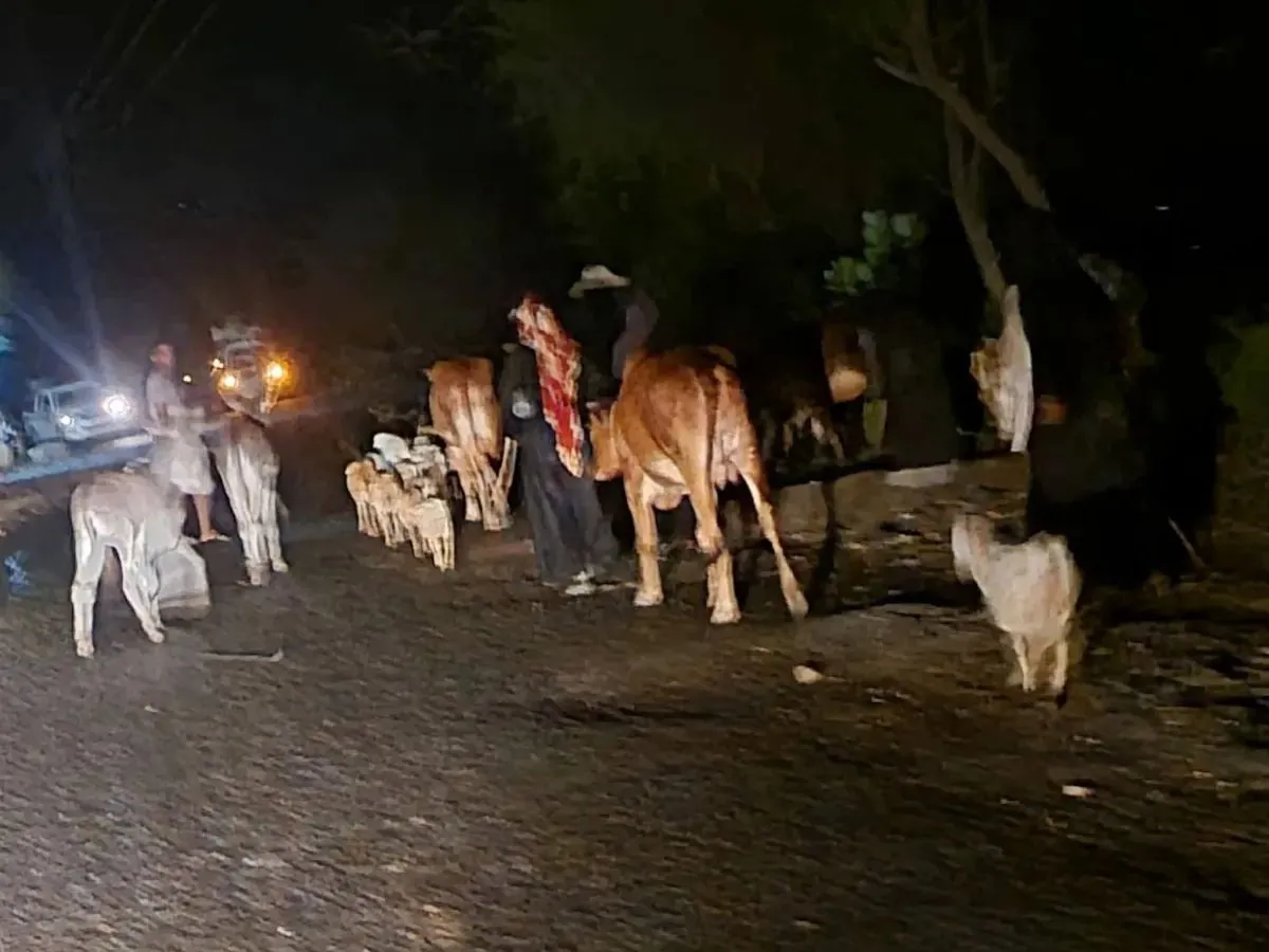 نزوح نحو 400 شخص جراء القصف الحوثيين في مناطق غربي الحديدة
