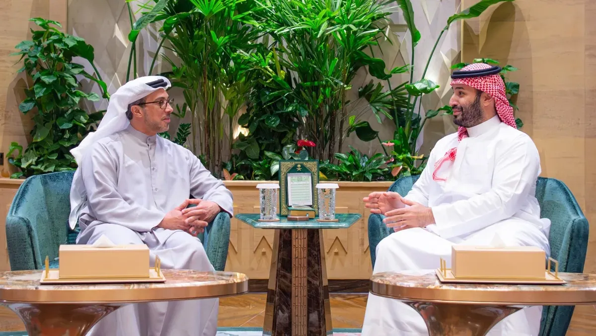 ولي العهد السعودي يلتقي نائب رئيس الإمارات