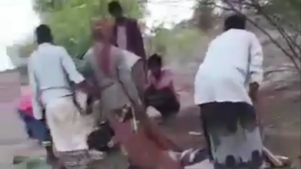 مقتل مزارعين اثنين بانفجار لغم حوثي جنوبي الحديدة