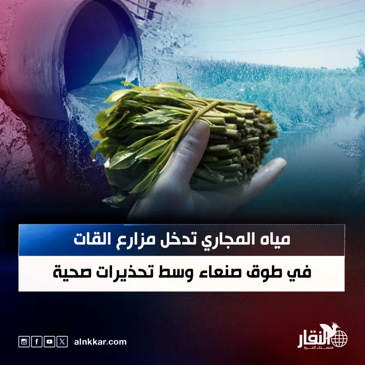 مياه المجاري تدخل مزارع القات في طوق صنعاء وسط تحذيرات صحية